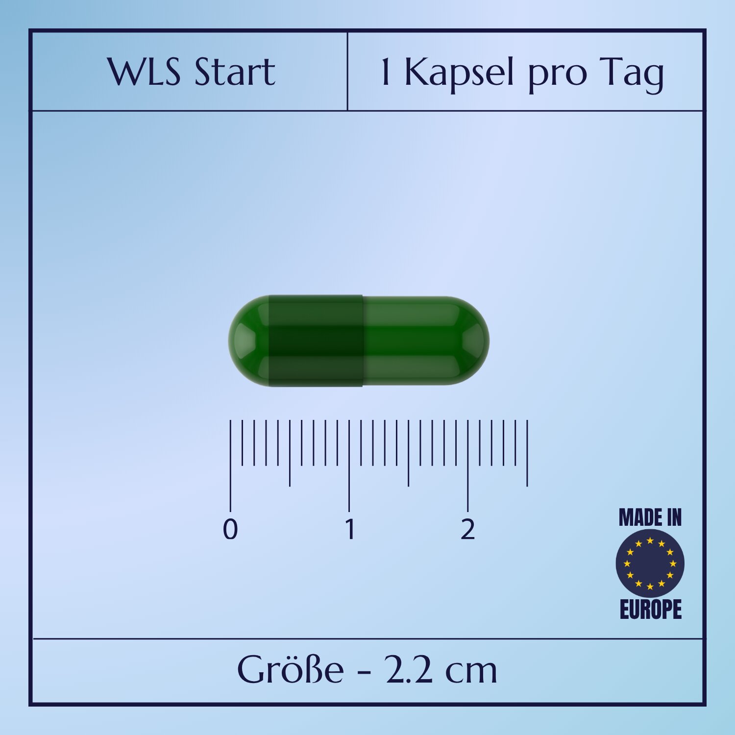 WLS Start_2