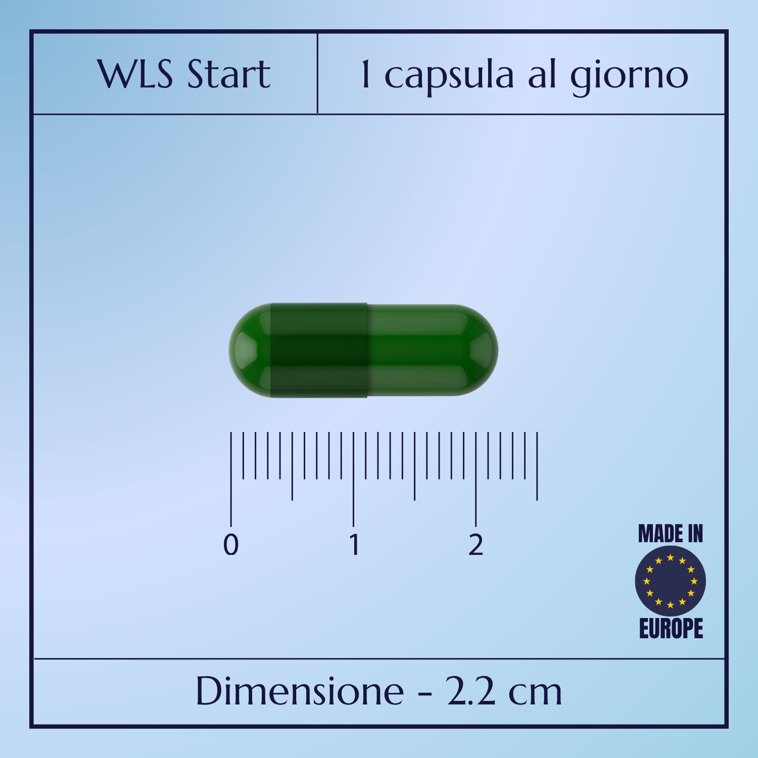 WLS Start_2