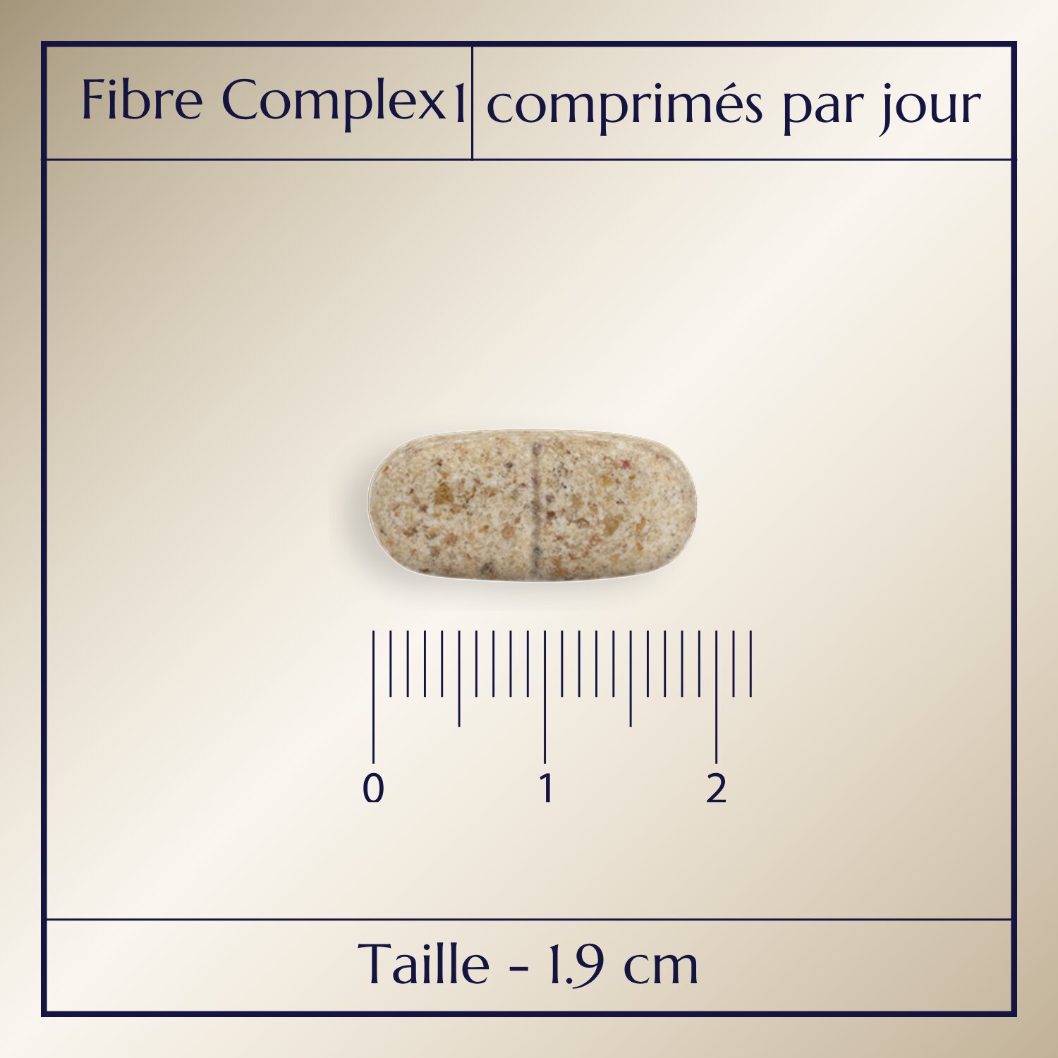 Fibre Complex_2