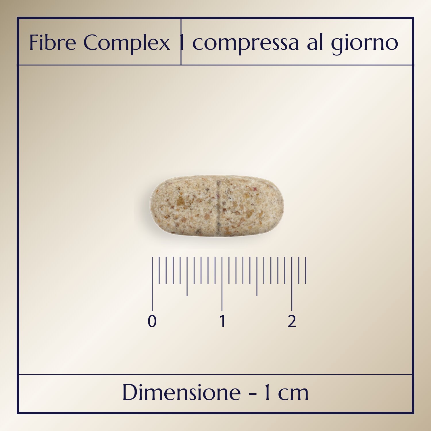 Fibre Complex_2