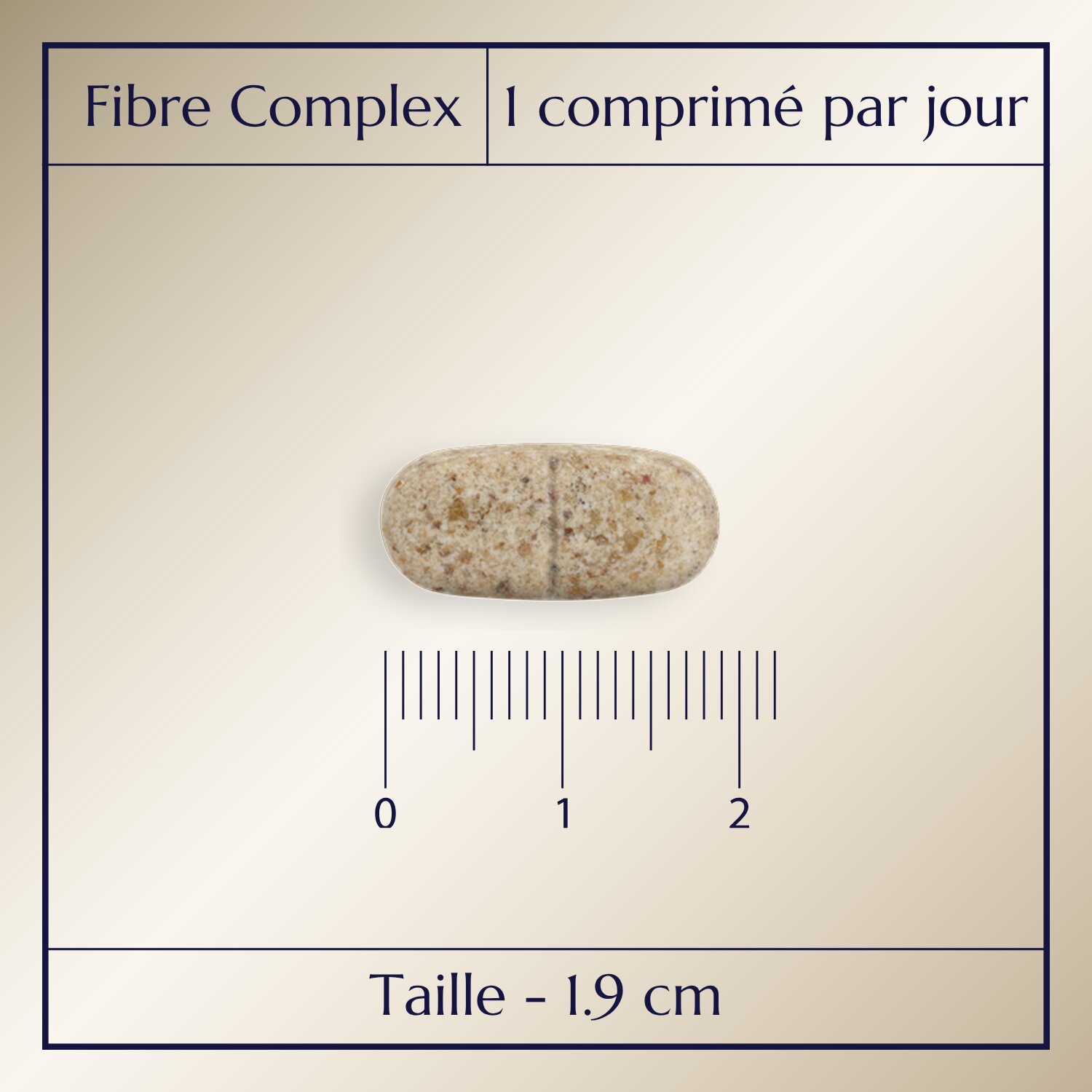 Fibre Complex_2