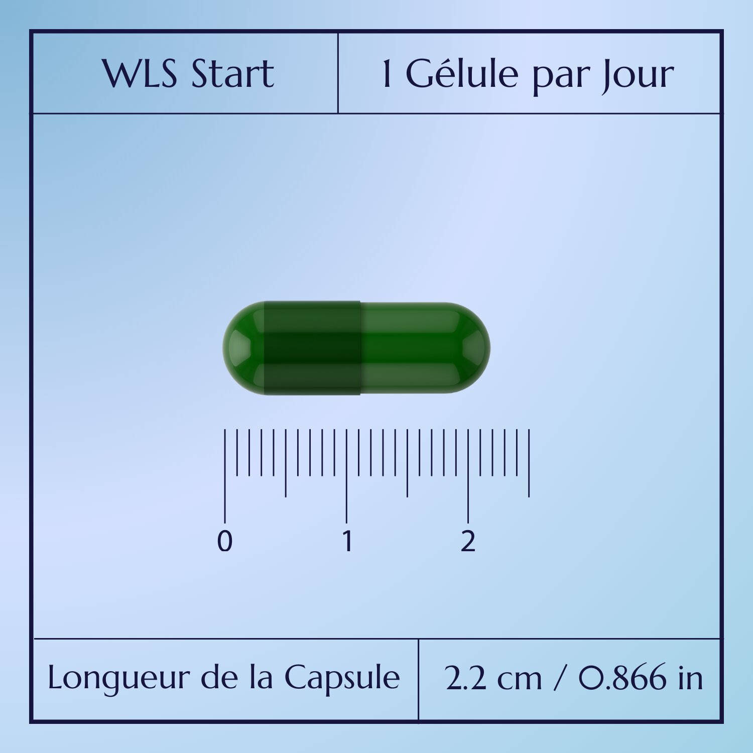WLS Start_4