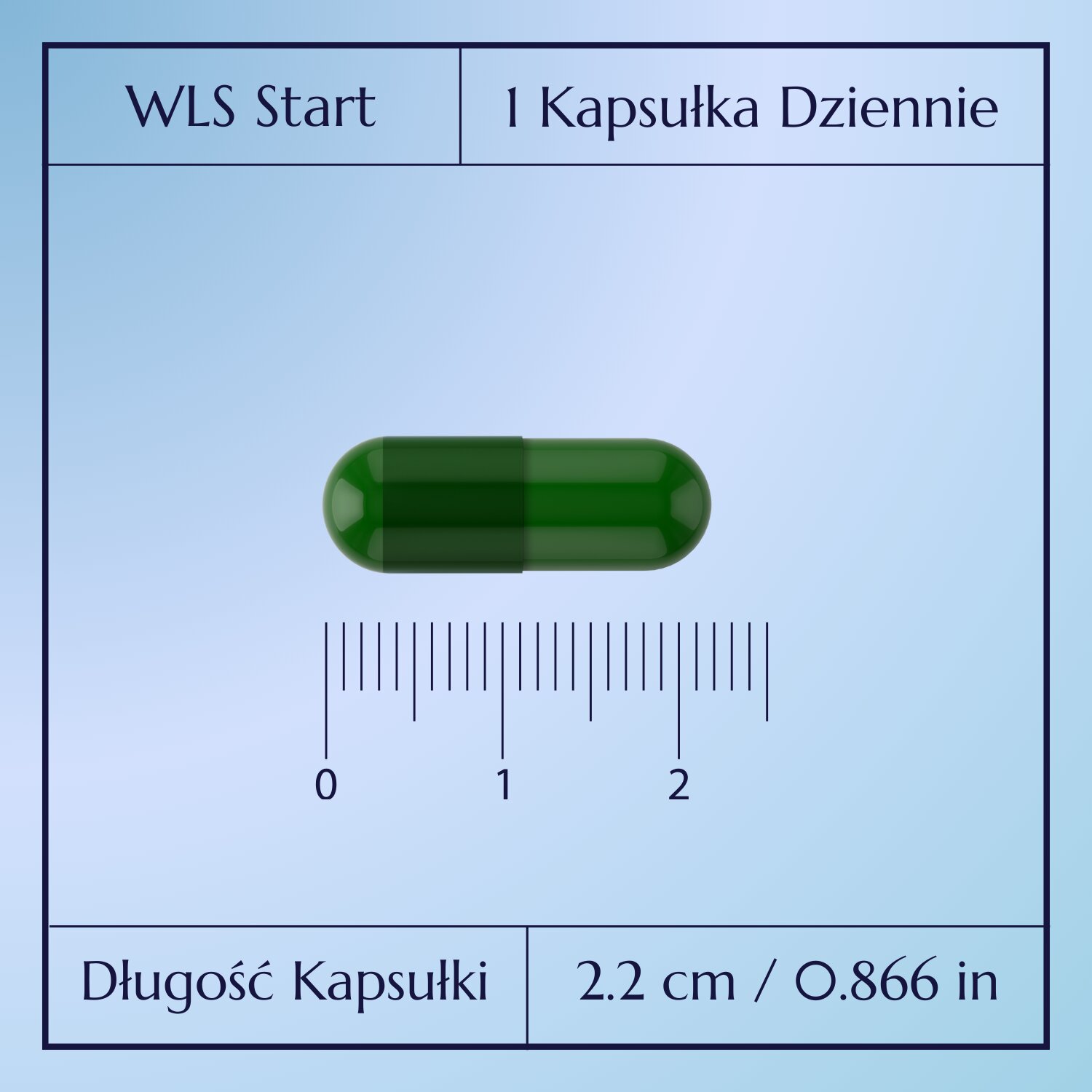 WLS Start_4