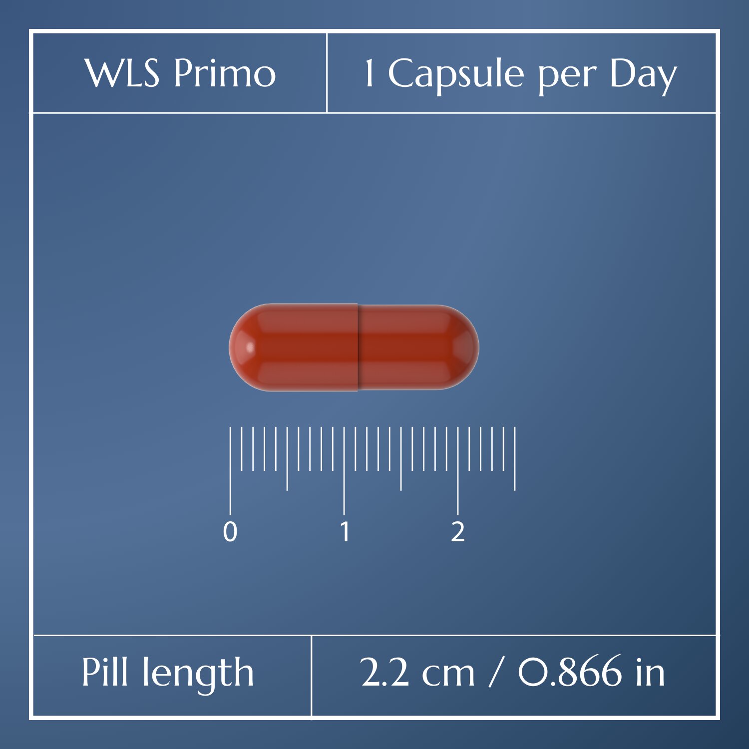 WLS Primo_3
