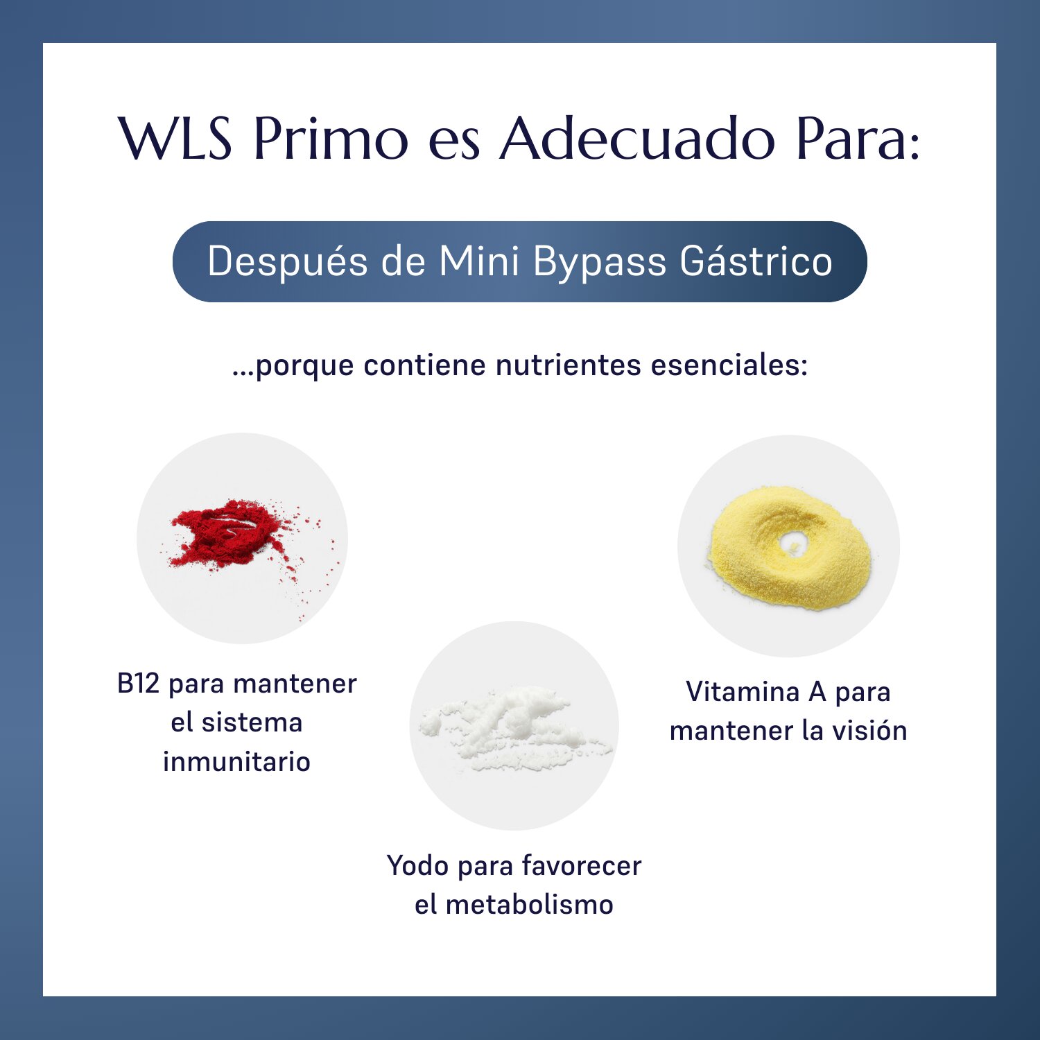 WLS Primo_1