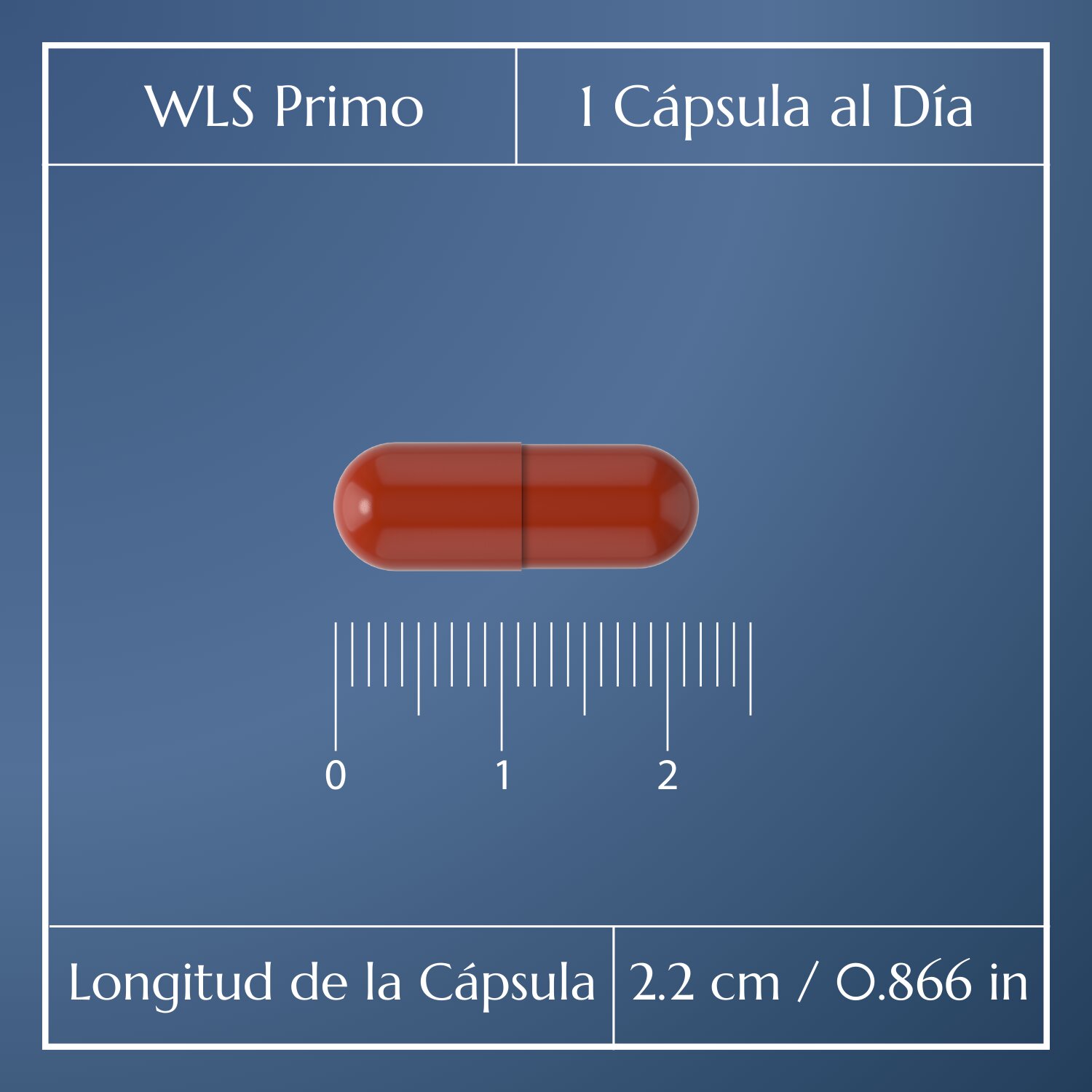 WLS Primo_3