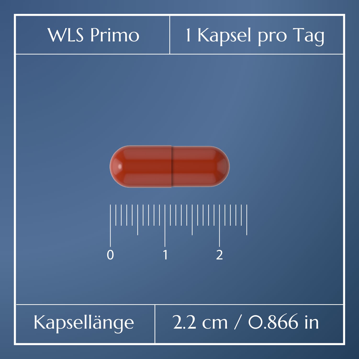 WLS Primo_4
