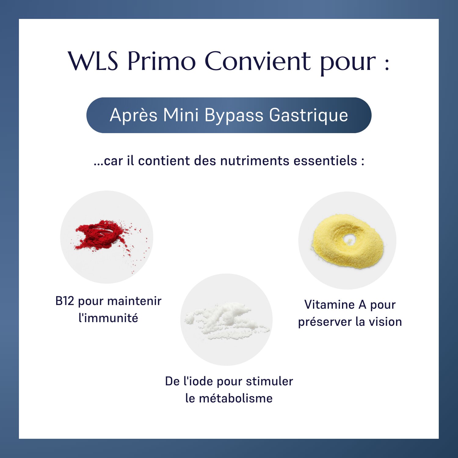 WLS Primo_2