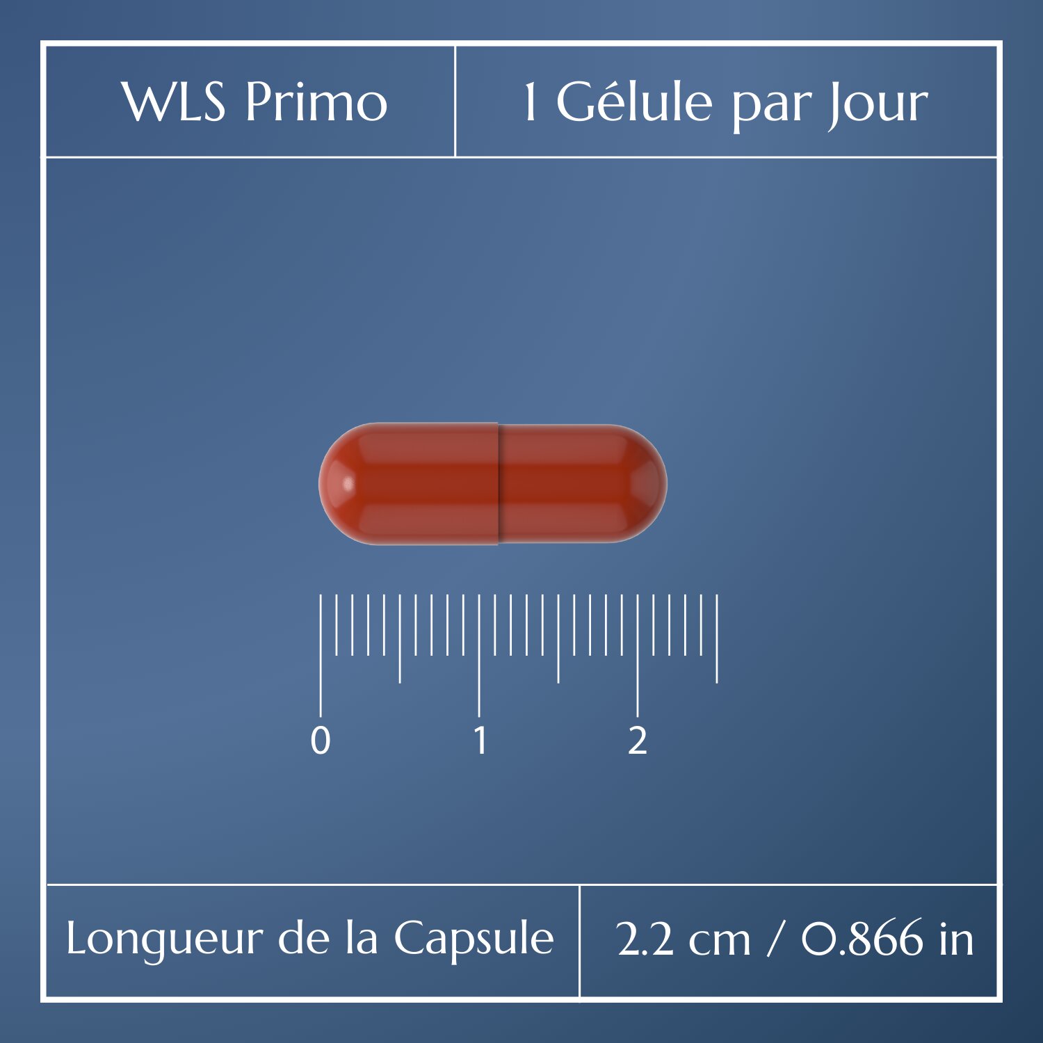 WLS Primo_4