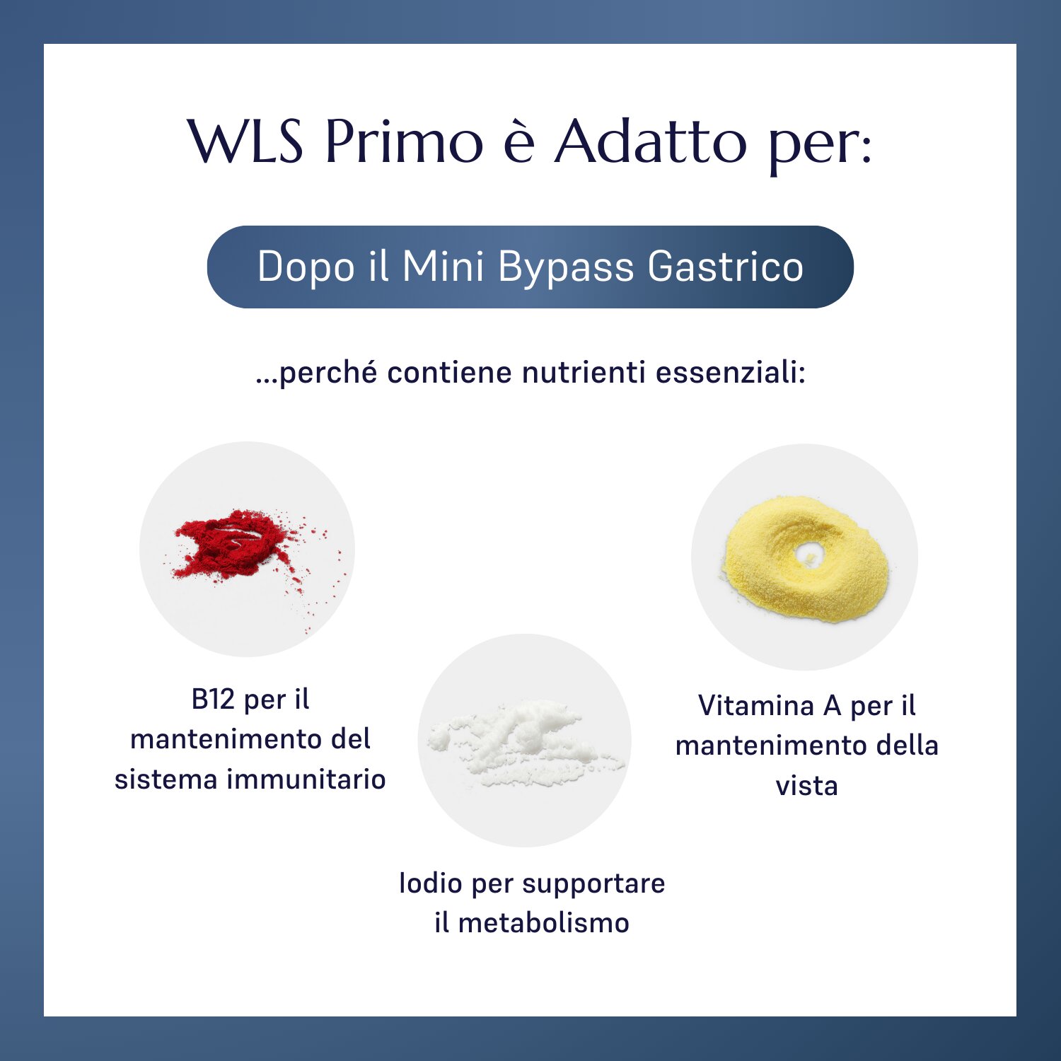 WLS Primo_2