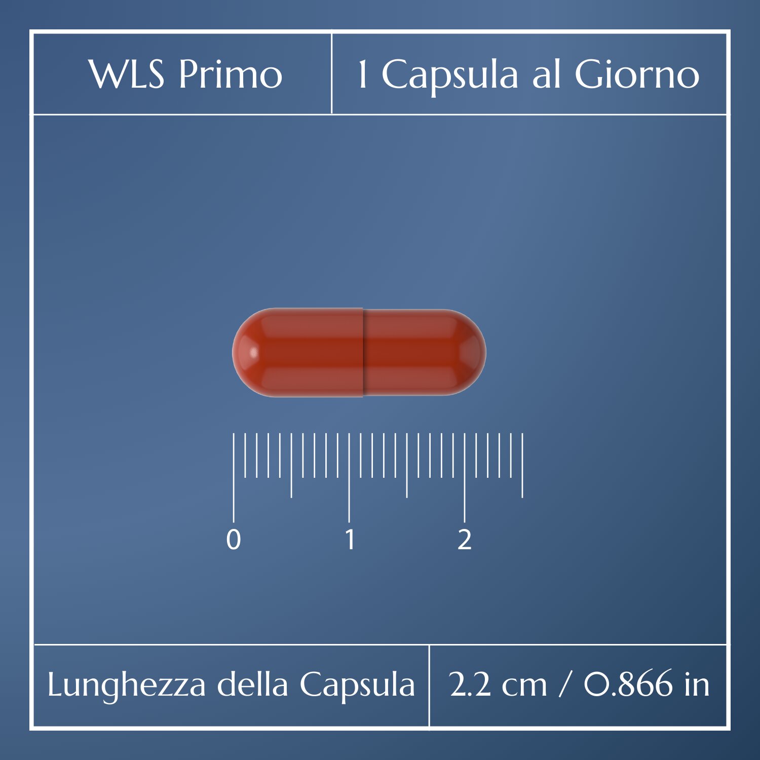 WLS Primo_4
