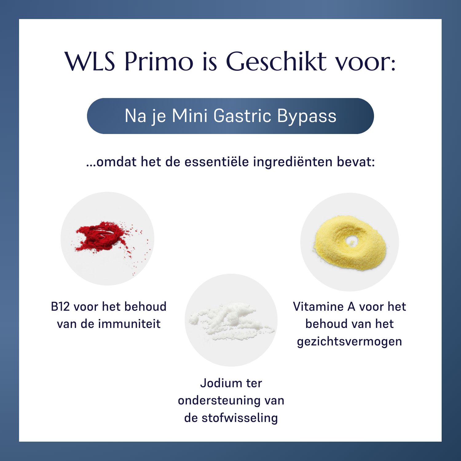 WLS Primo_1