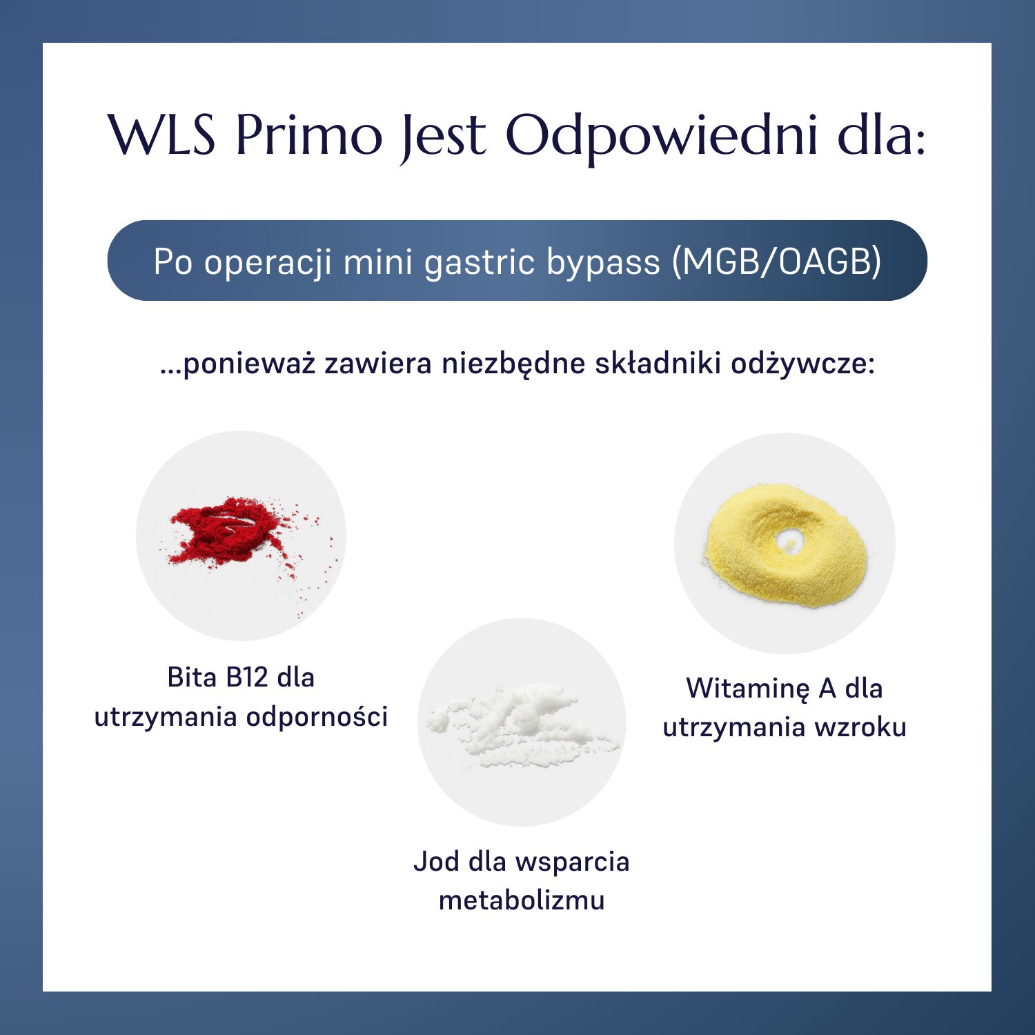 WLS Primo_1