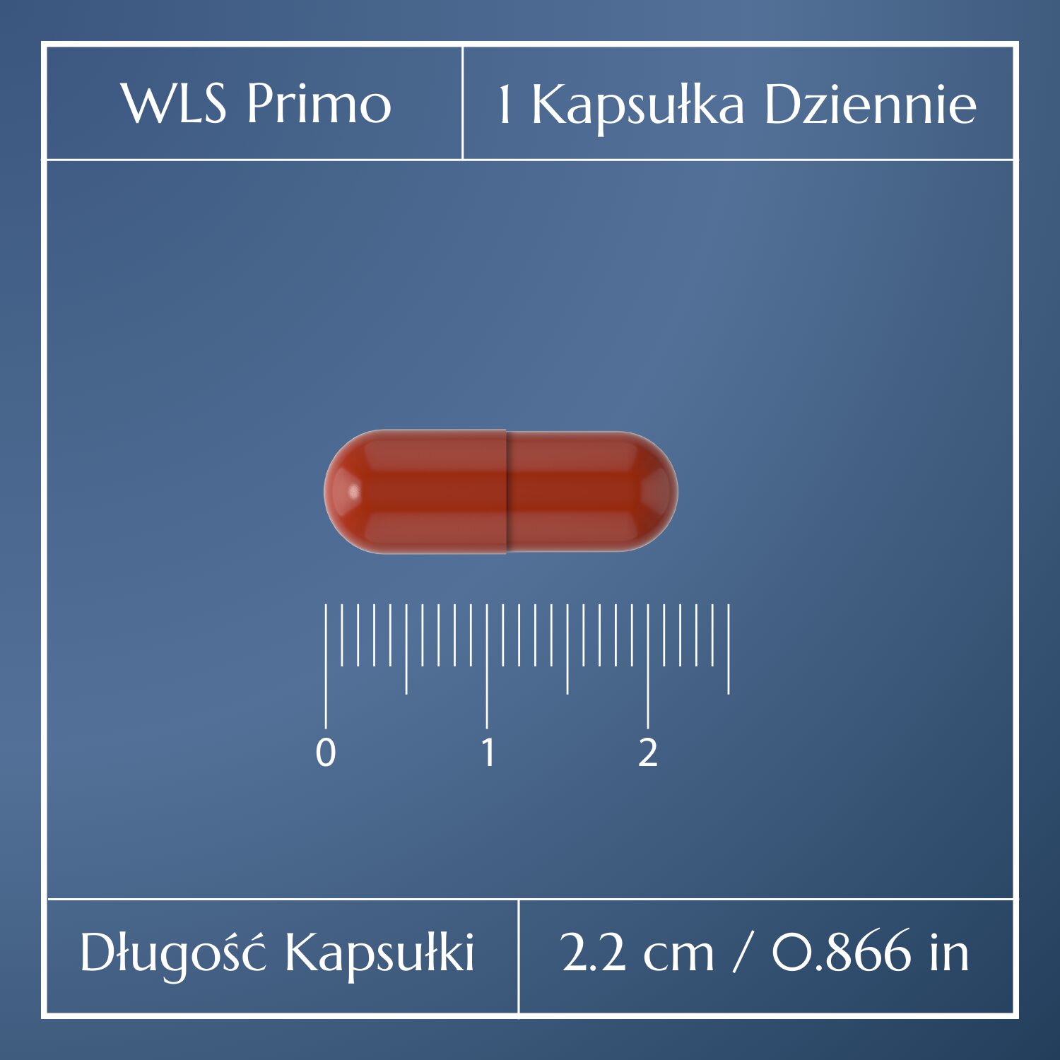 WLS Primo_3