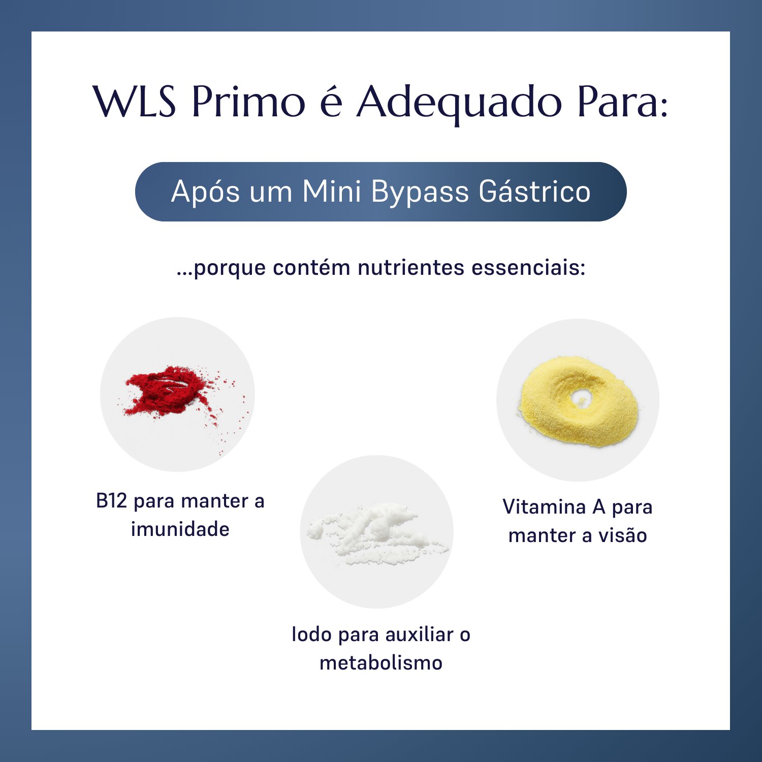 WLS Primo_2