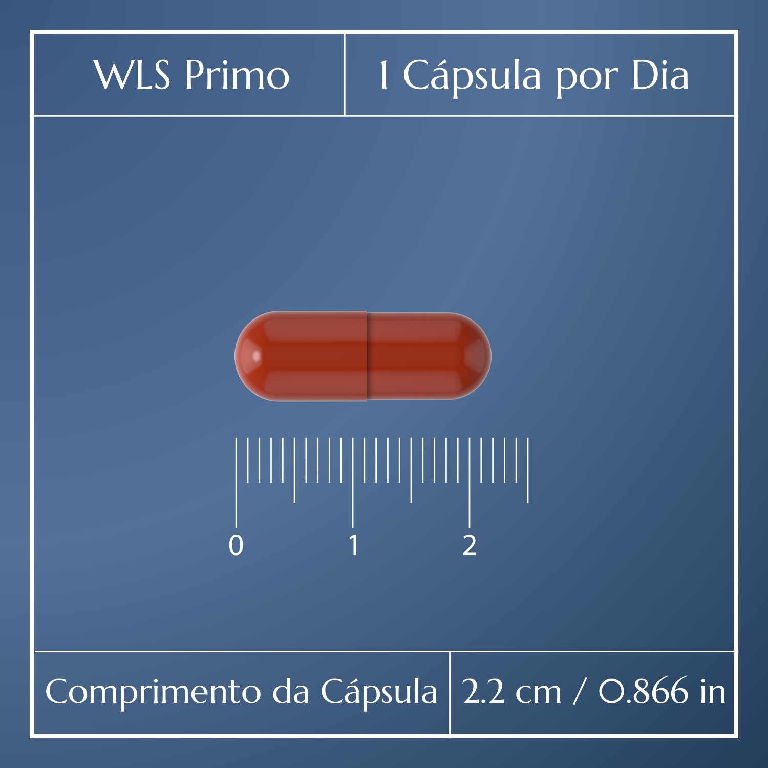 WLS Primo_4