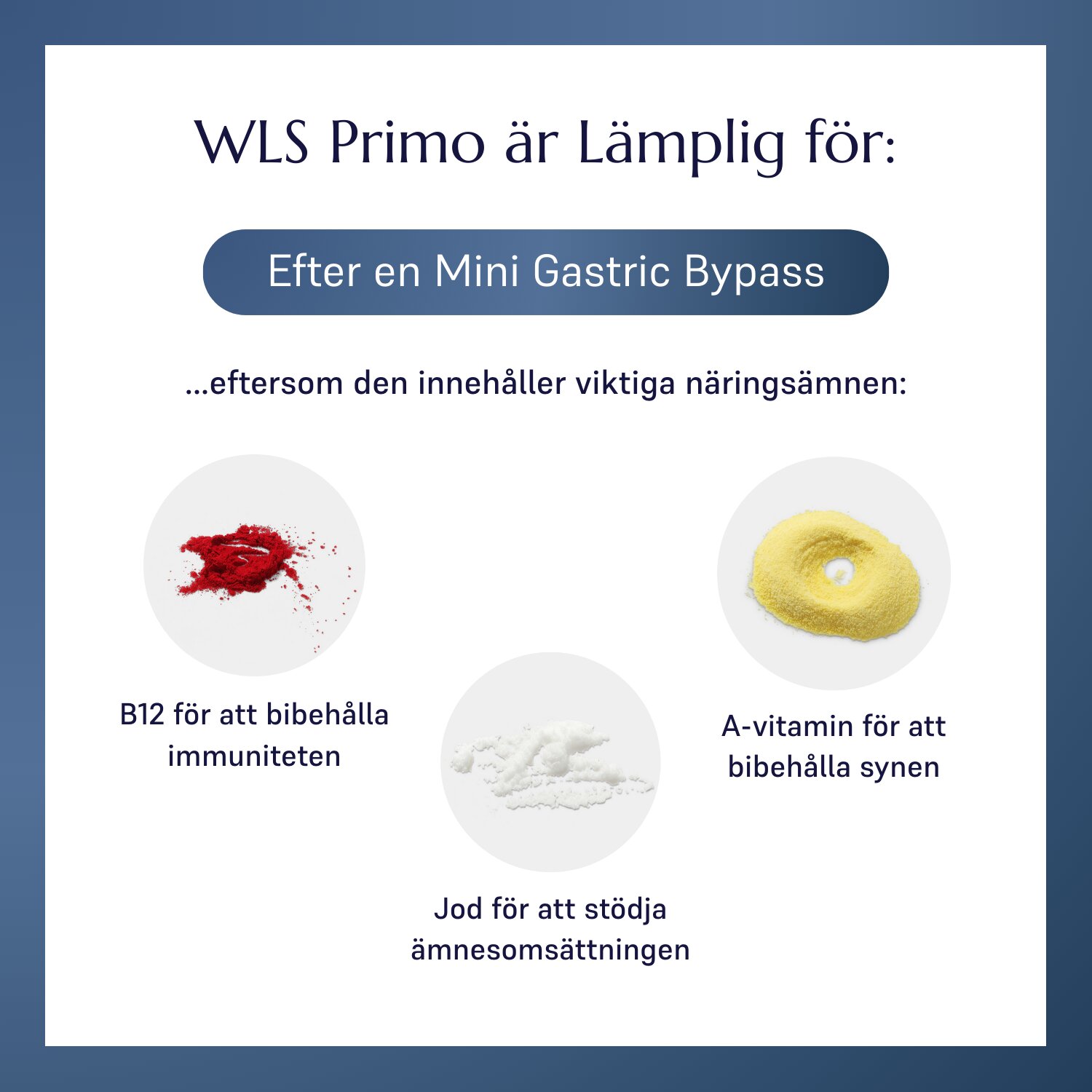 WLS Primo_2