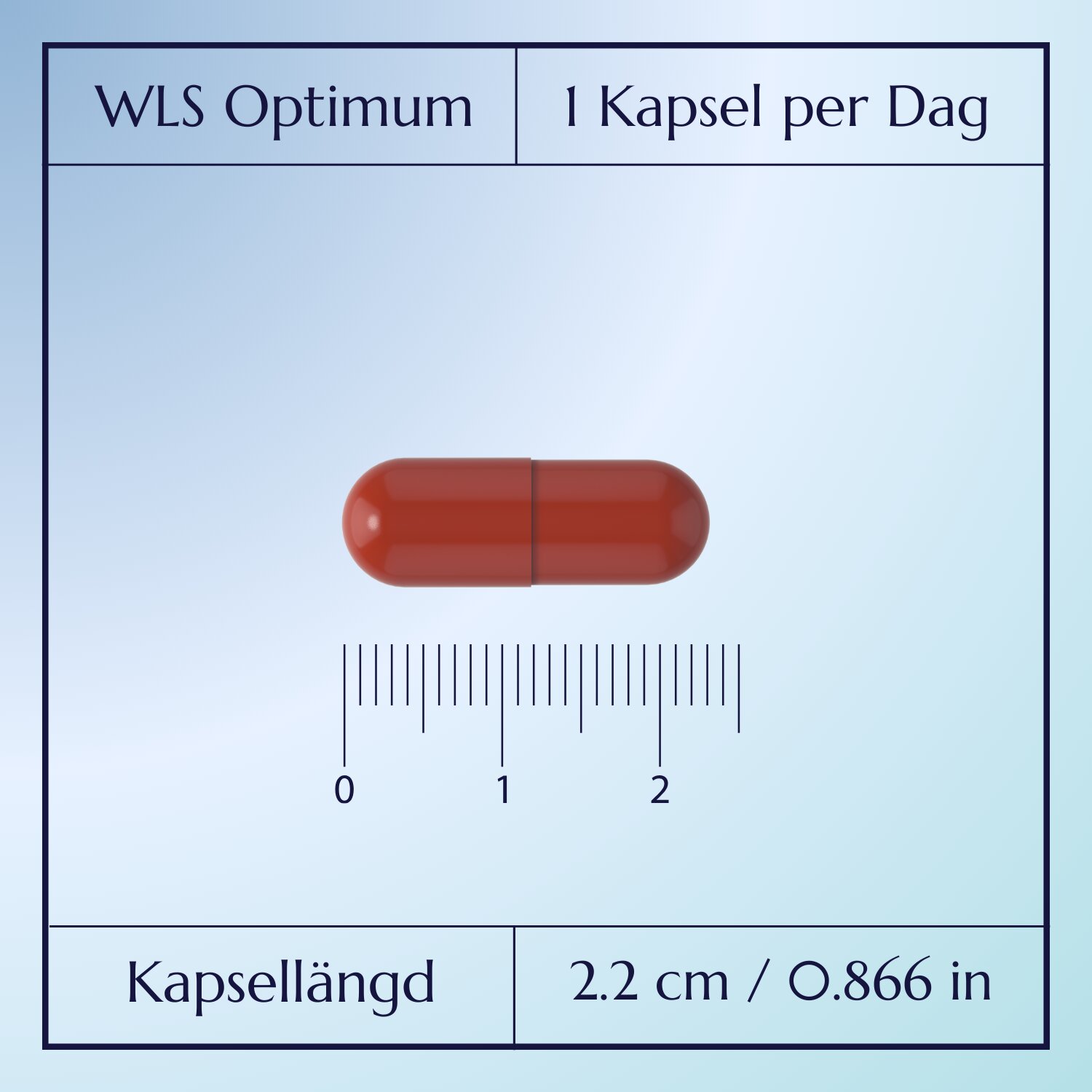 WLS Optimum_4