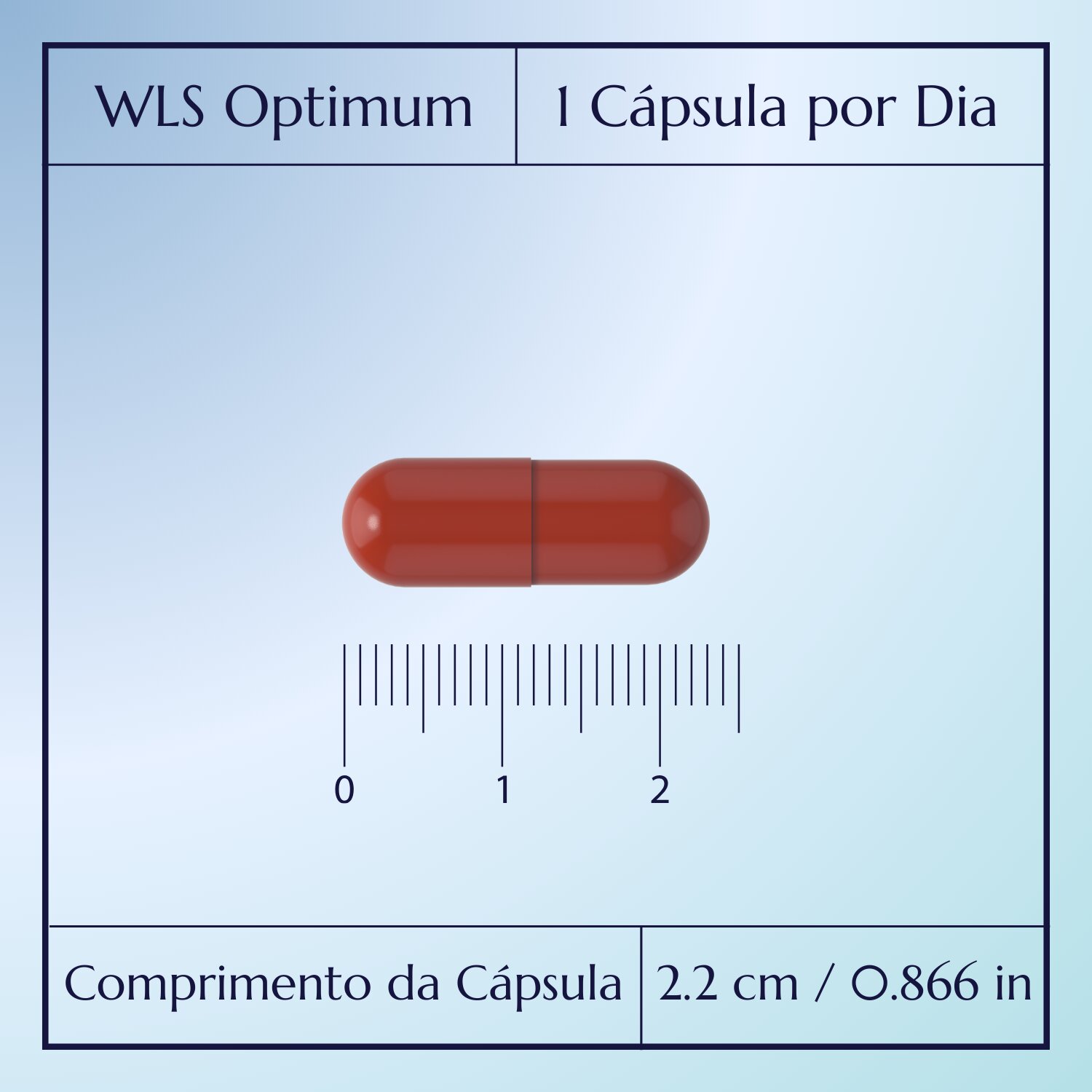 WLS Optimum_4