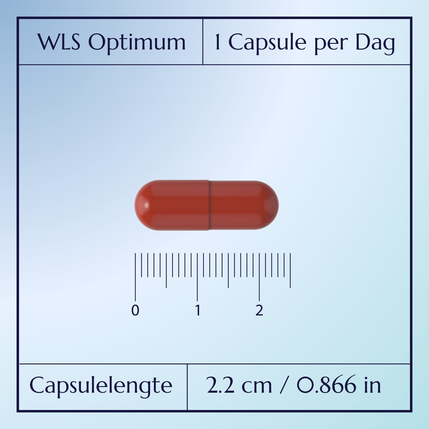 WLS Optimum_4
