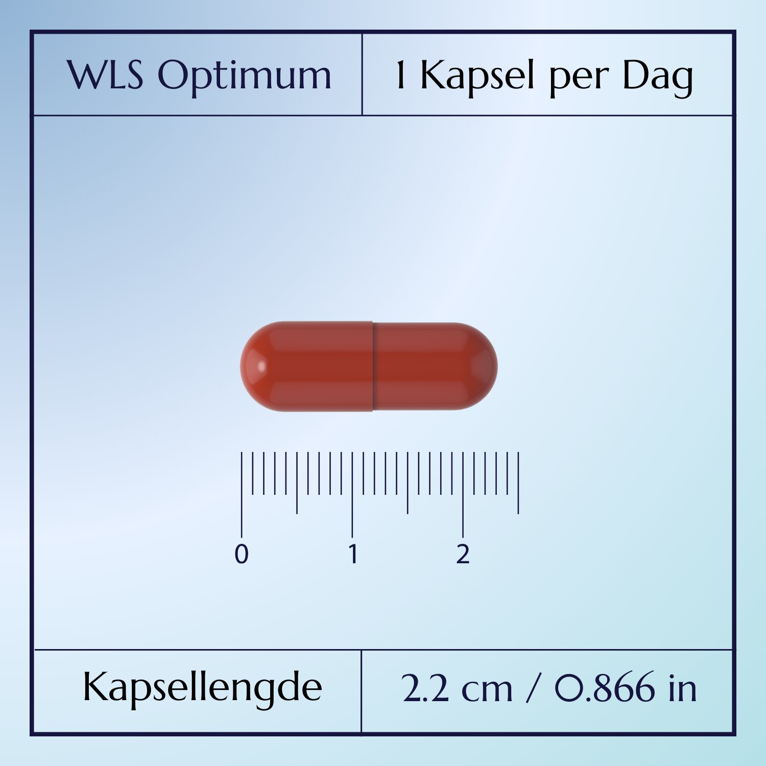 WLS Optimum_4