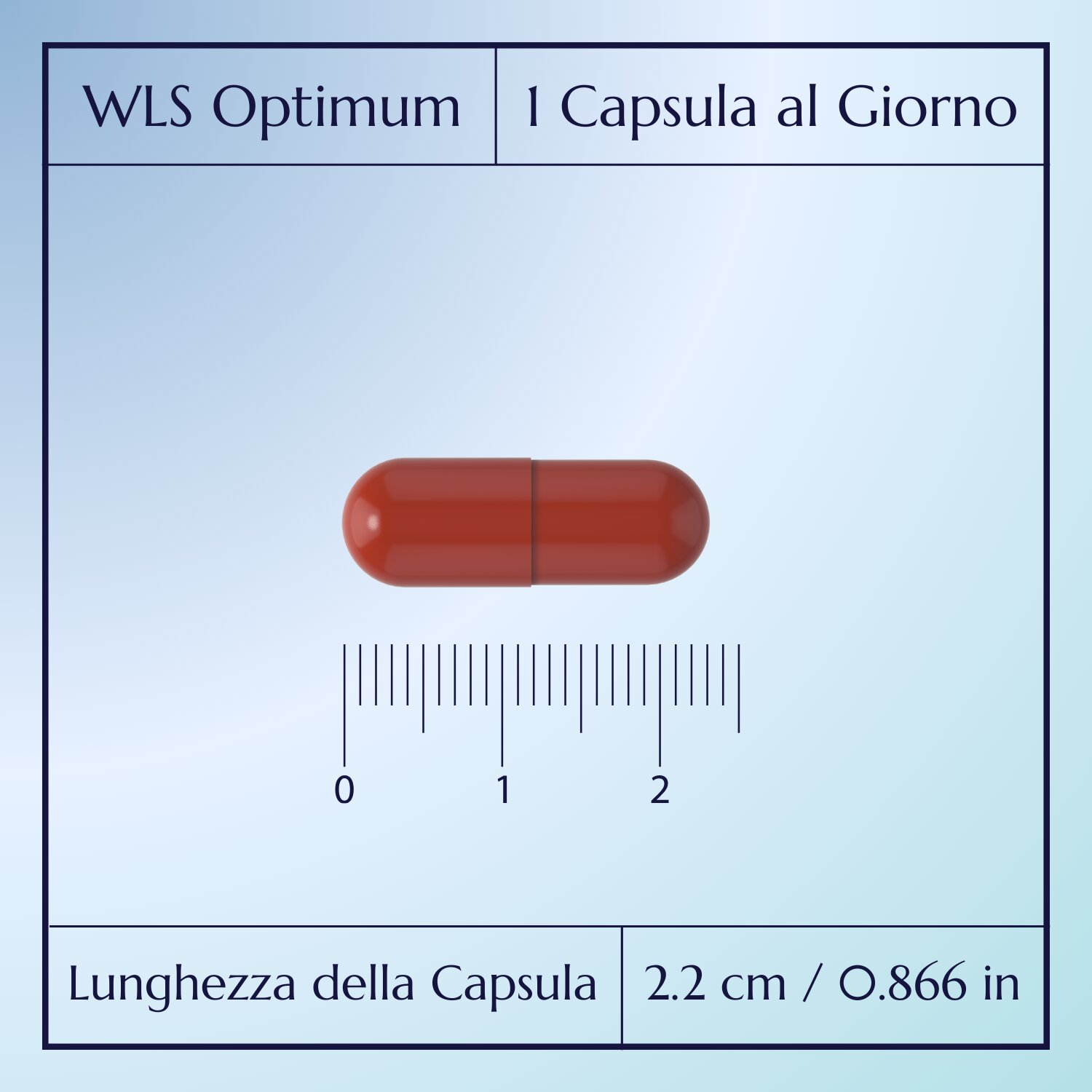 WLS Optimum_4