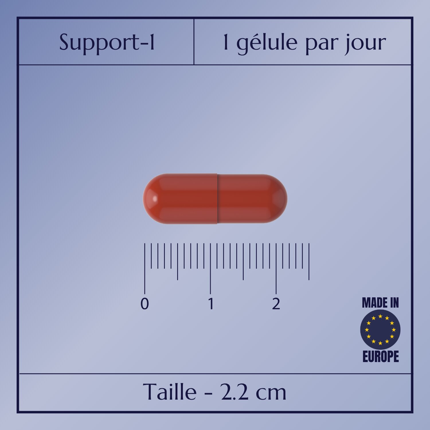 Support-1 multivitamine_2